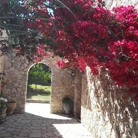 Villa Dioni *